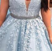 Champagne Wedding Dress With Trian Sexy V-neck Bridal Dress Backless Ball Gown