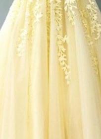 Champagne Wedding Dress With Trian Sexy V-neck Bridal Dress Backless Ball Gown