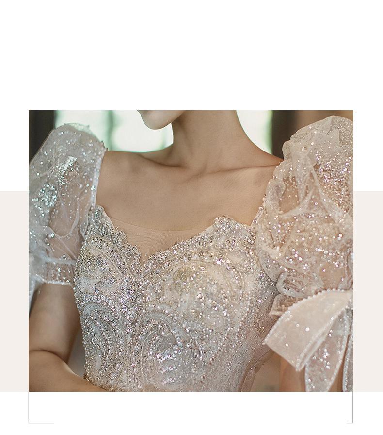 Short Sleeve Embroidered Tulle Ball Gown Wedding Gowns Shinny Princess
