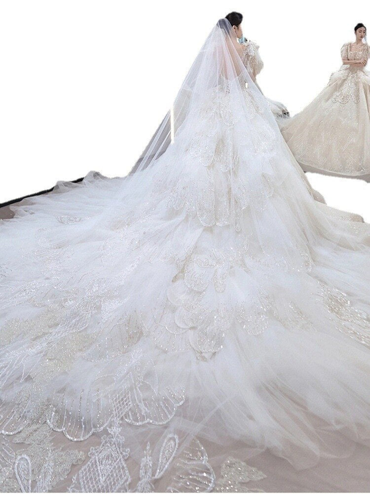 Luxury Wedding Dress Lace Embroidery Backless Sweep Train Custom Made