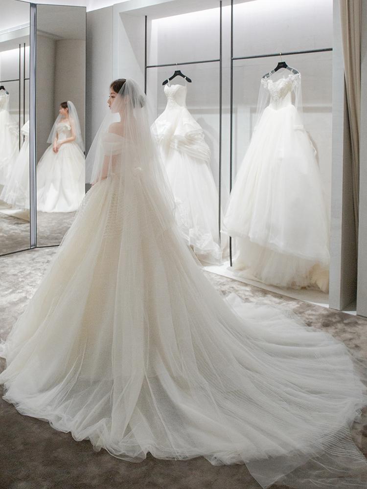 Simple Off The Shoulder Light Ball Gown Tulle Wedding Dress