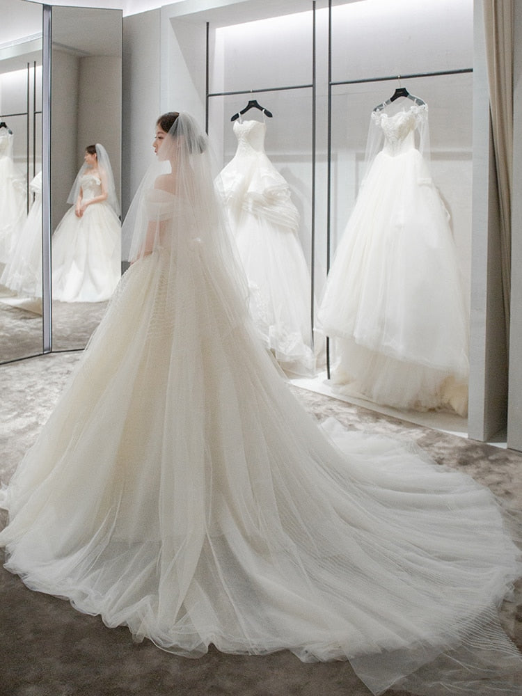 Simple Off The Shoulder Light Ball Gown Tulle Wedding Dress