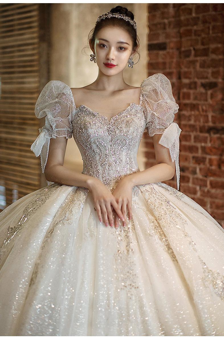 Luxury Beading Lace Wedding Dress 2023 V Neck Puff Sleeve Princess Wedding Gown With Big Sweep Train Plus Size Wedding Dress