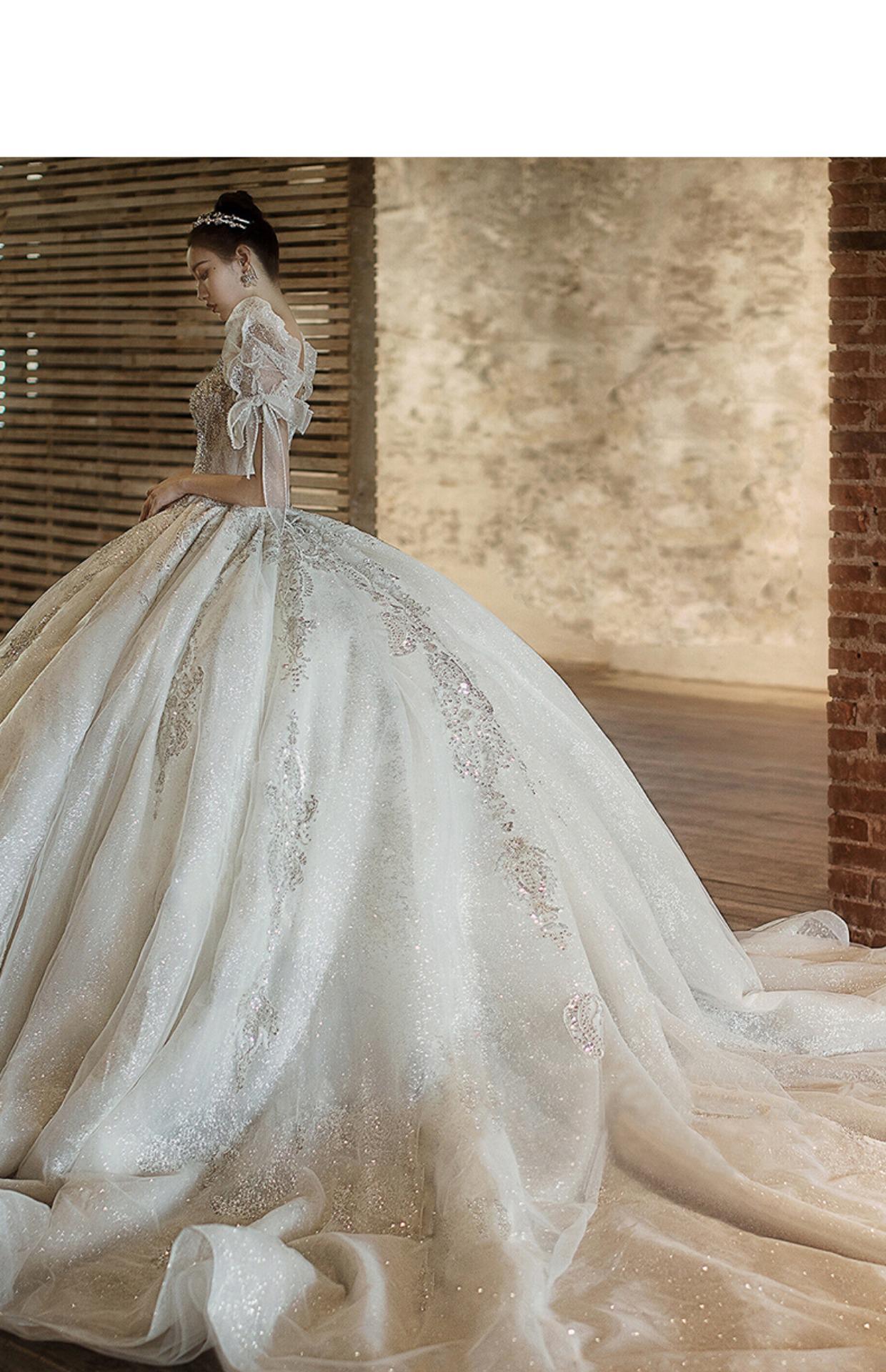 Short Sleeve Embroidered Tulle Ball Gown Wedding Gowns Shinny Princess