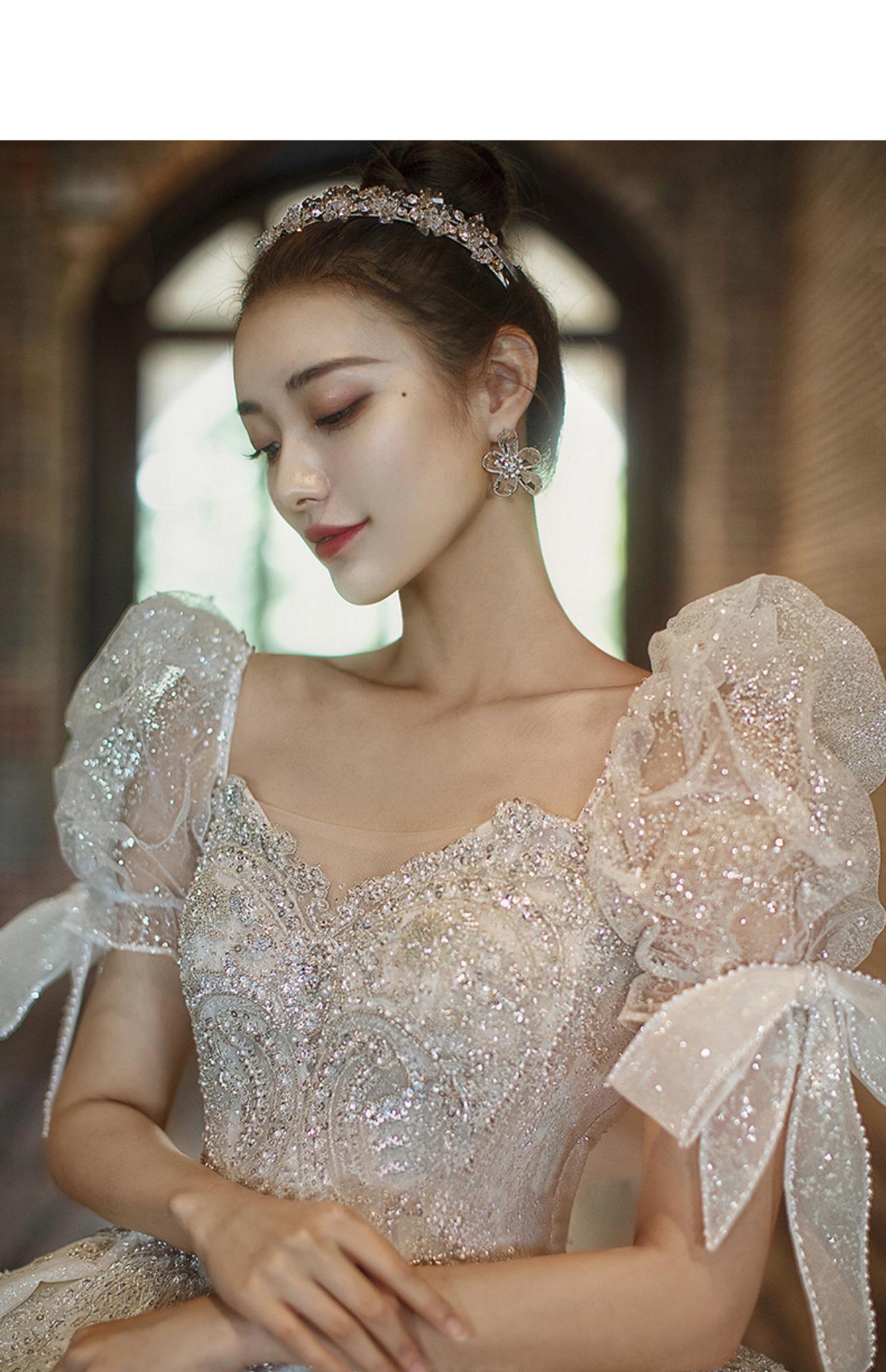 Short Sleeve Embroidered Tulle Ball Gown Wedding Gowns Shinny Princess