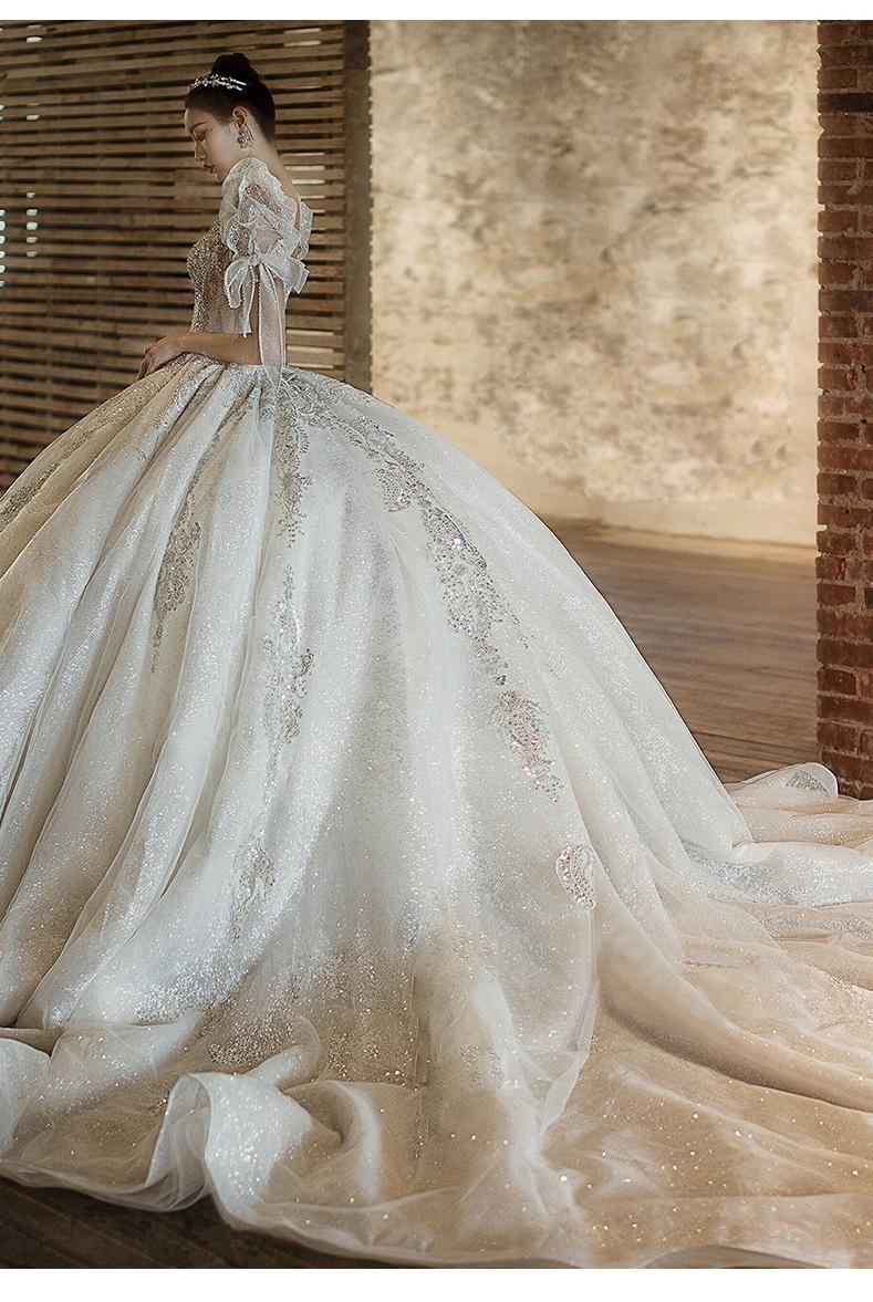 Luxury Beading Lace Wedding Dress 2023 V Neck Puff Sleeve Princess Wedding Gown With Big Sweep Train Plus Size Wedding Dress