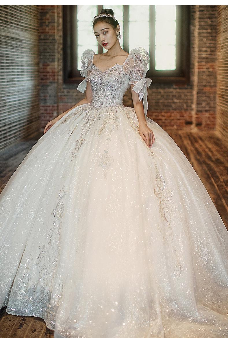 Luxury Beading Lace Wedding Dress 2023 V Neck Puff Sleeve Princess Wedding Gown With Big Sweep Train Plus Size Wedding Dress