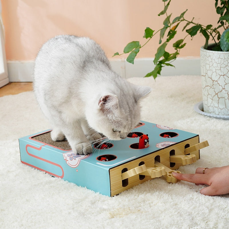 3 in 1 Cat Toy Cat Scratching Board