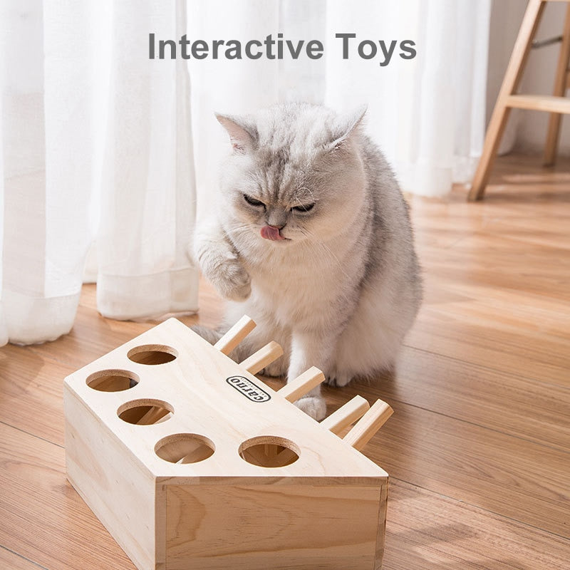Cat Puzzle Toy Catch Hunt Mouse Game