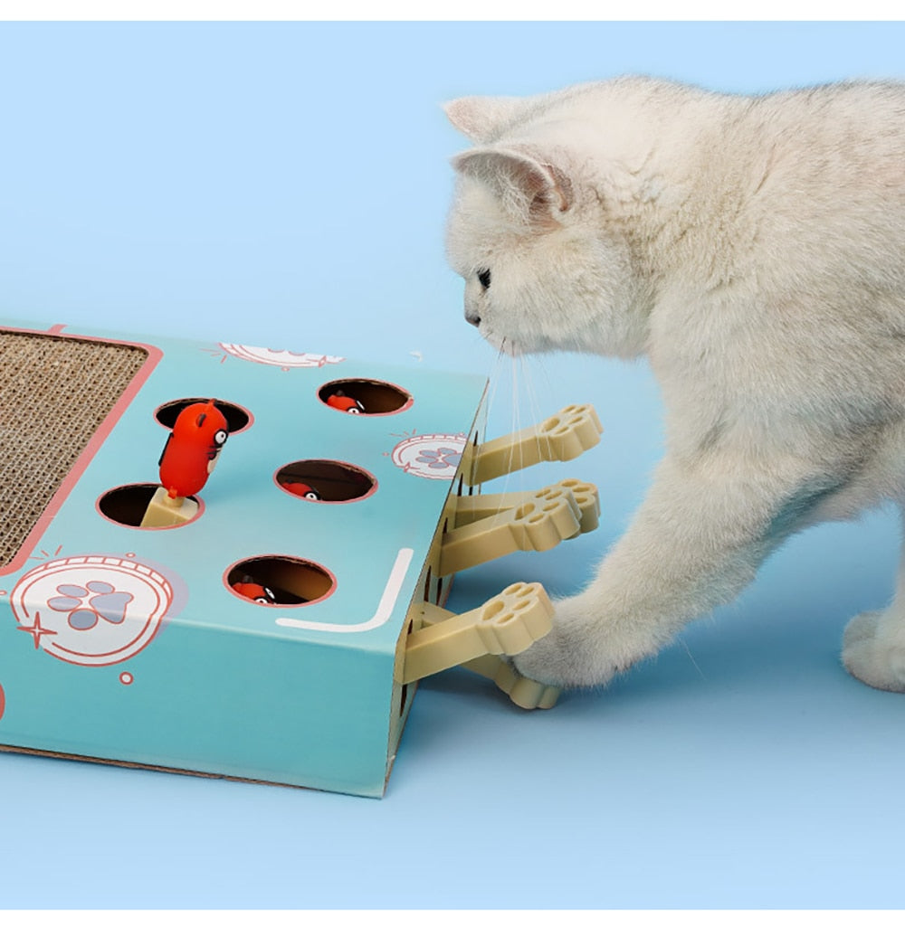 3 in 1 Cat Toy Cat Scratching Board