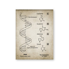 Load image into Gallery viewer, DNA and RNA Genetic Code Wall Art Canvas Painting Prints Genetics Biochemistry Student Gift Vintage Posters Science Wall Decor
