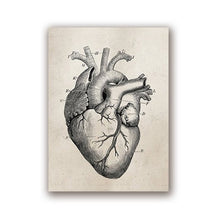 Load image into Gallery viewer, Human Anatomy Science Vintage Posters Art Prints , Medical Anatomy Canvas Painting Medical Doctor Clinic Wall Pictures Decor
