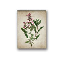 Load image into Gallery viewer, Vintage Herb Art Canvas Poster And Prints , Oregano Rosemary Sage Thyme Canvas Painting Retro Wall Pictures Home Art Wall Decor
