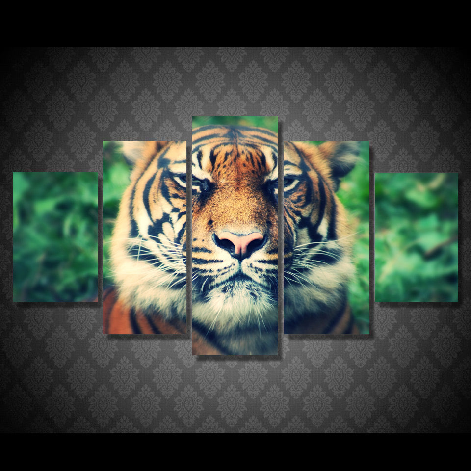 HD Printed tiger predator muzzle eyes squint Painting Canvas Print room decor print poster picture canvas Free shipping/ny-4923