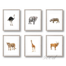 Load image into Gallery viewer, Wild Africa Animals Set Canvas Art Print Painting Poster,  Wall Pictures for Home Decoration, Home Decor FA395
