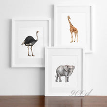Load image into Gallery viewer, Wild Africa Animals Set Canvas Art Print Painting Poster,  Wall Pictures for Home Decoration, Home Decor FA395
