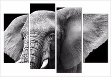 Load image into Gallery viewer, HD Printed elephant tusks ears ivory Painting on canvas room decoration print poster picture canvas framed Free shipping/NY-6273

