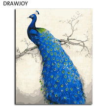 Load image into Gallery viewer, Peacock Frameless Pictures Painting By Numbers DIY Digital Canvas Oil Painting Europe Home Decoration Wall Art G456
