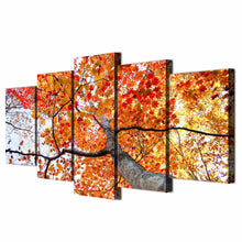 Load image into Gallery viewer, HD Printed 5 piece canvas art painting maple tree red yellow leaves canvas pictures for living room  ny-6021
