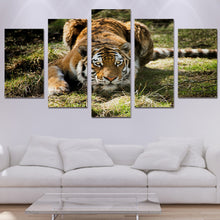 Load image into Gallery viewer, HD Printed Jungle Tigers Painting on canvas room decoration print poster picture canvas Free shipping/ny-1936
