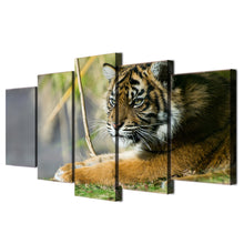 Load image into Gallery viewer, HD Printed Animals Tigers  Painting Canvas Print room decor print poster picture canvas Free shipping/ny-4011
