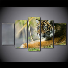 Load image into Gallery viewer, HD Printed Animals Tigers  Painting Canvas Print room decor print poster picture canvas Free shipping/ny-4011
