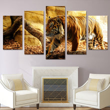 Load image into Gallery viewer, HD Printed Animal tiger Painting Canvas Print room decor print poster picture canvas Free shipping/NY-5943
