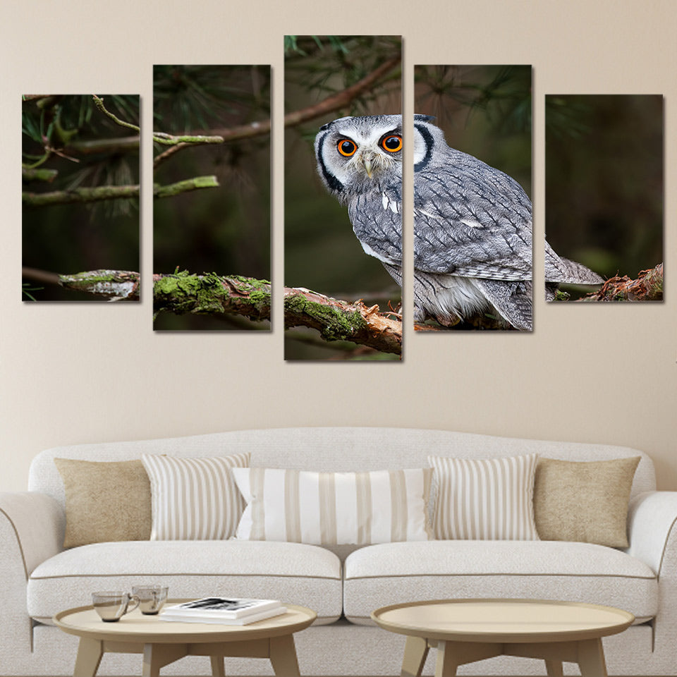 HD Printed Animals Owl Painting on canvas room decoration print poster picture canvas Free shipping/ny-2328