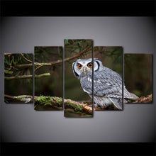 Load image into Gallery viewer, HD Printed Animals Owl Painting on canvas room decoration print poster picture canvas Free shipping/ny-2328
