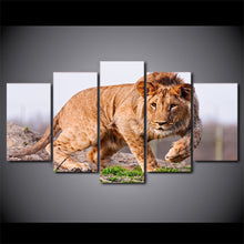 Load image into Gallery viewer, HD Printed African lion Painting Canvas Print room decor print poster picture canvas Free shipping/ny-2178
