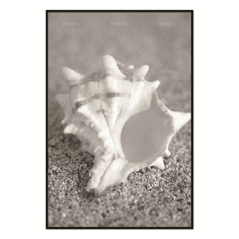 Conch Beach Nordic Abstract Natural Wall Pictures Living Room Art Decoration Pictures Scandinavian Canvas Painting No Frame