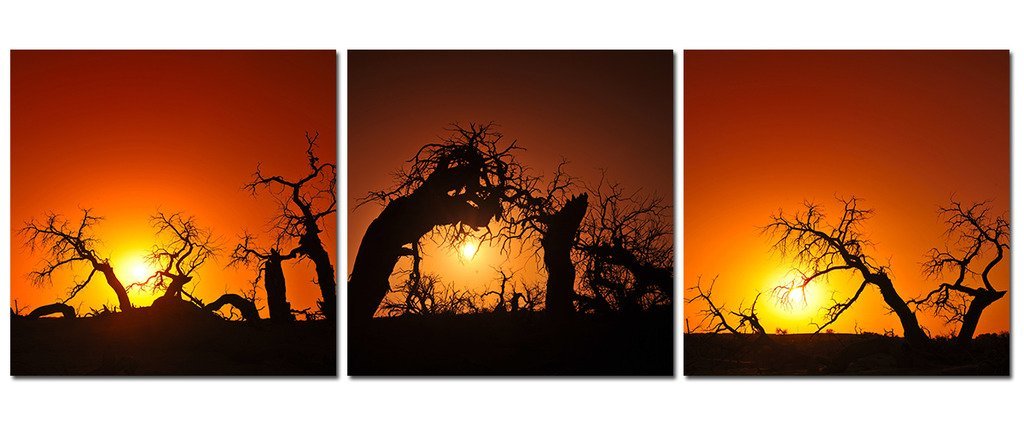 BANMU 3 Sets Trees under Sunset Pictures Canvas Wall Artwork Giclee Prints Modern Decor Paintings for Walls Decoration