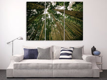 Load image into Gallery viewer, HD Printed forest trees green Painting Canvas Print room decor print poster picture canvas Free shipping/NY-6282
