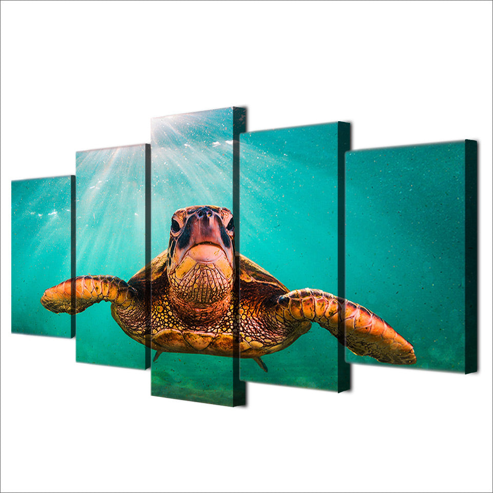 HD printed 5 piece canvas art Turtles animal Paintings living room decor ocean art canvas prints free shipping ny-6532