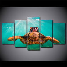 Load image into Gallery viewer, HD printed 5 piece canvas art Turtles animal Paintings living room decor ocean art canvas prints free shipping ny-6532
