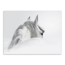 Load image into Gallery viewer, Wild Animals White Horse Head Large Canvas Art Print Poster Wall Picture Living Room Modern Nordic Home Decor Paintings No Frame
