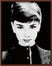 Load image into Gallery viewer, Frameless Wall Art DIY Oil Painting By Numbers DIY Canvas Oil Painting Movie Poster 40*50cm -Audrey Hepburn G004
