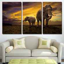 Load image into Gallery viewer, HD Printed 3 Piece Elephant Canvas Painting Sunset Large Canvas Wall Art Wall Pictures for Living Room  Free Shipping NY-6540
