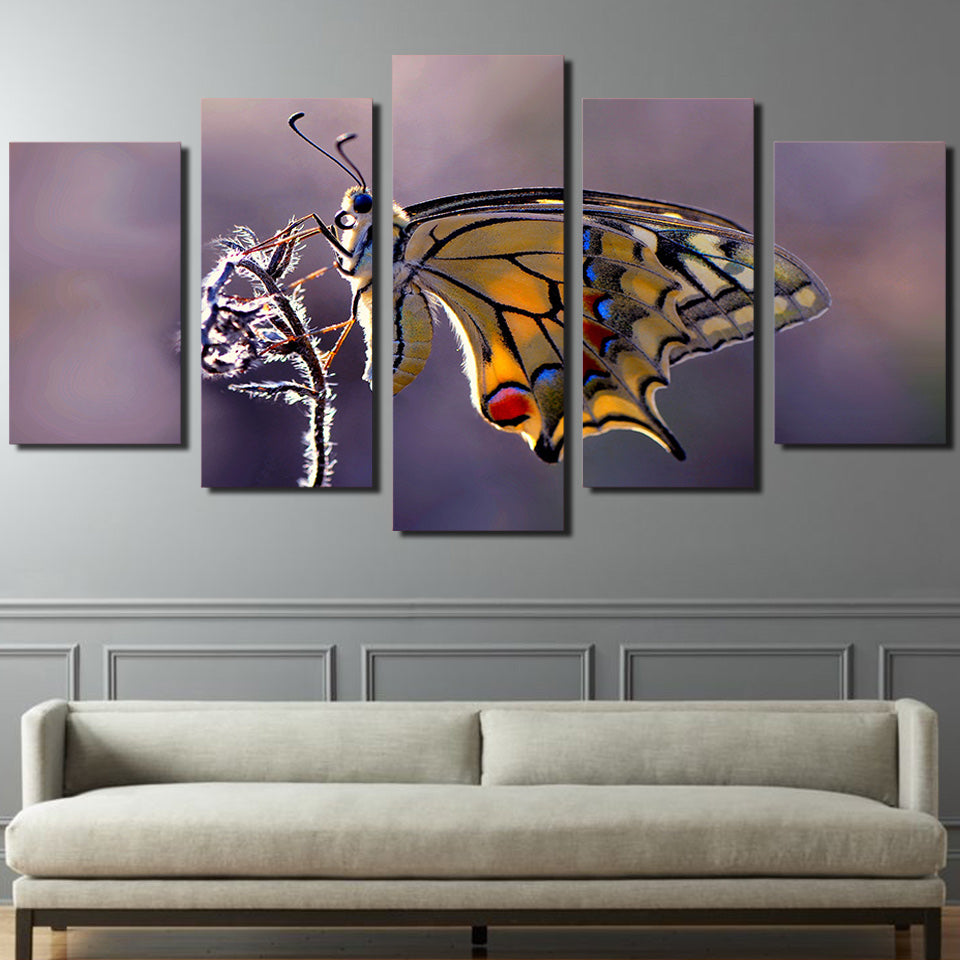 HD Printed Butterfly Photography Painting on canvas room decoration print poster picture canvas Free shipping/ny-1923