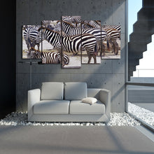 Load image into Gallery viewer, HD Printed Africa Zebra landscape Group Painting room decor print poster picture canvas Free shipping/D011
