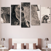 Load image into Gallery viewer, 5 piece art canvas painting HD print wall pictures for living room elephant side face wall frames posters and prints ny-6030
