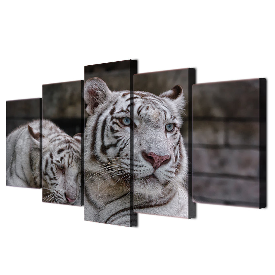 HD Printed White Tiger Painting on canvas room decoration print poster picture canvas Free shipping/ny-2194