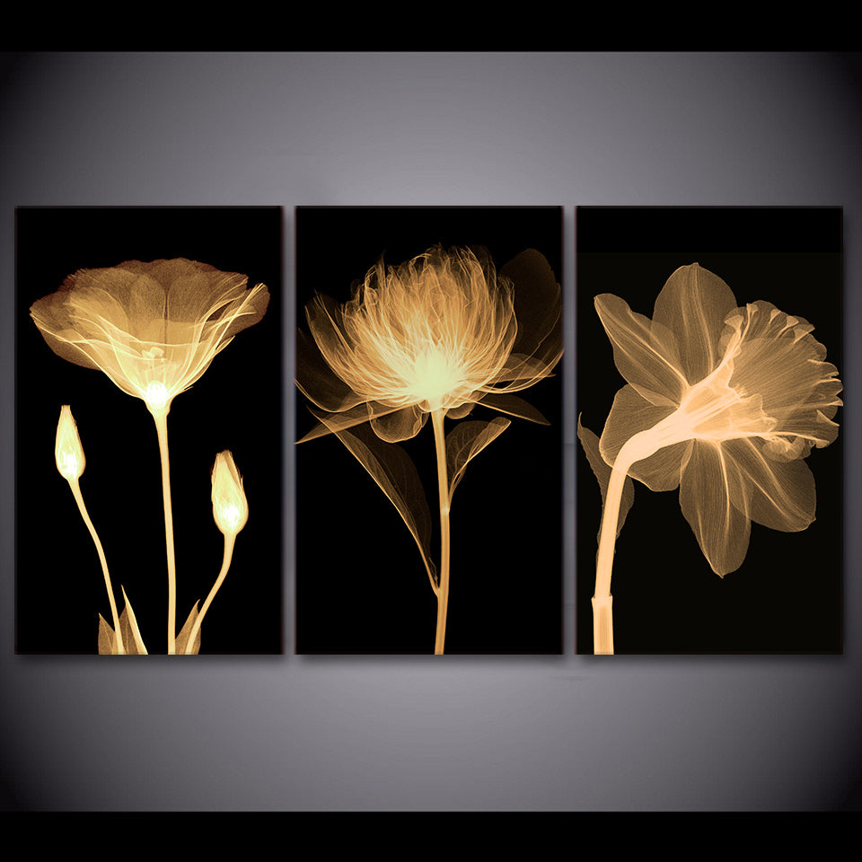 HD print 3 piece Canvas Art transparent flower black Painting Wall Picture for Living Room Wall Art  ny-6644D