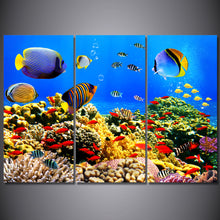 Load image into Gallery viewer, HD Printed Marine fish coral Painting Canvas Print room decor print poster picture canvas Free shipping/ny-6411C
