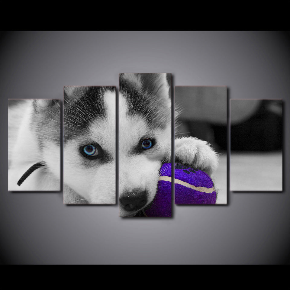 HD Printed 5 Piece Canvas Art Blue Eyes Husky Painting Dog Ball Play Poster Wall Pictures for Living Room Free Shipping NY-6964A