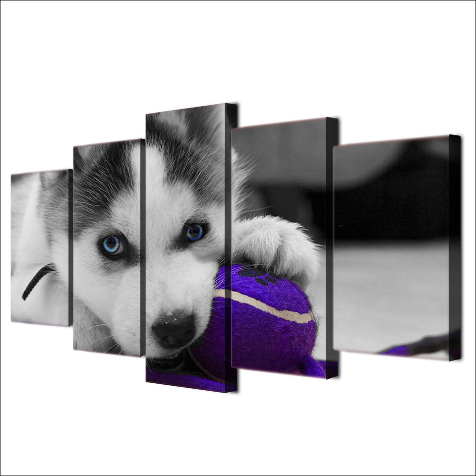 HD Printed 5 Piece Canvas Art Blue Eyes Husky Painting Dog Ball Play Poster Wall Pictures for Living Room Free Shipping NY-6964A