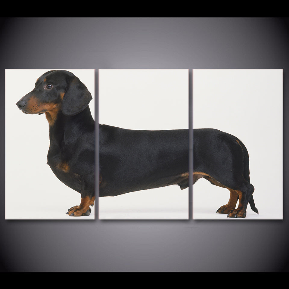 HD printed 3 piece canvas art Dachshund Dog Breed Painting Framed Poster wall pictures for living room Free shipping CU-1621C