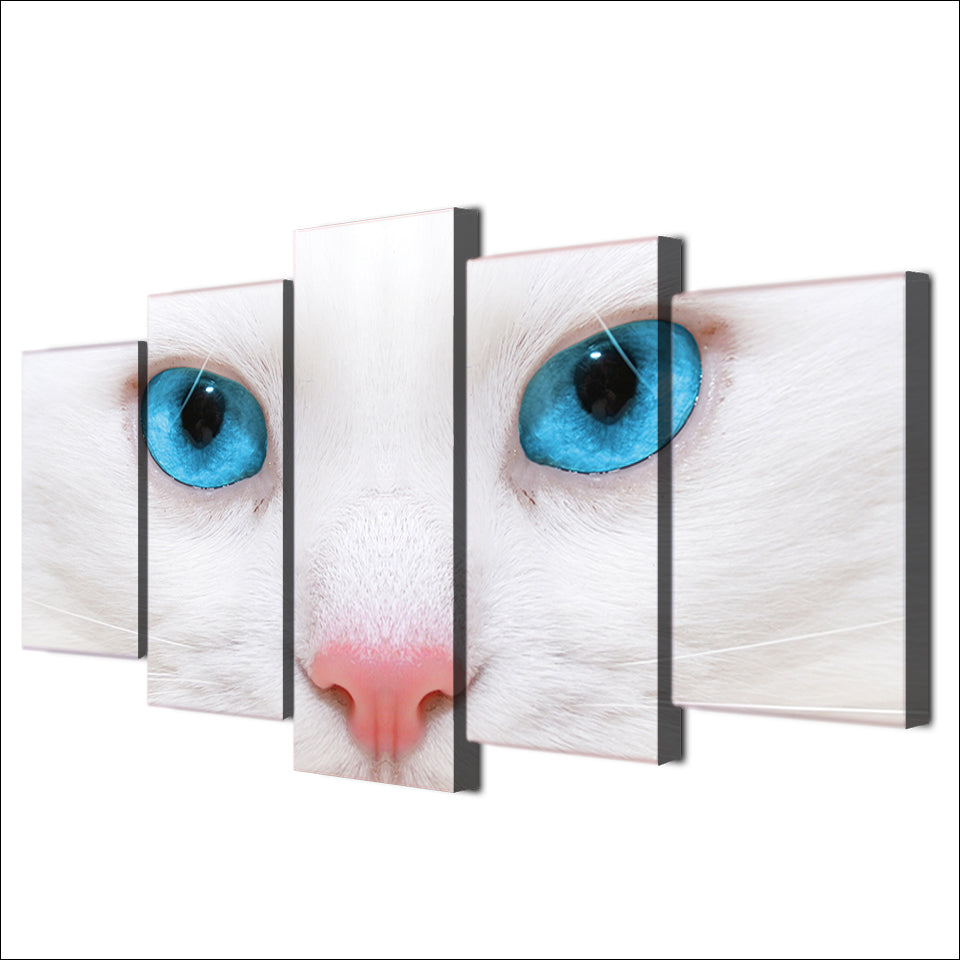HD Printed 5 Piece Canvas Art White Cat Blue Eyes Painting Framed Wall Pictures for Living Room Modern Free Shipping NY-6961C