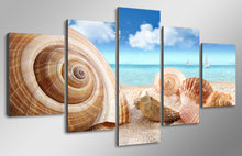Load image into Gallery viewer, HD Printed Beach sea shells conch Painting on canvas room decoration print poster picture canvas Free shipping/ny-2096
