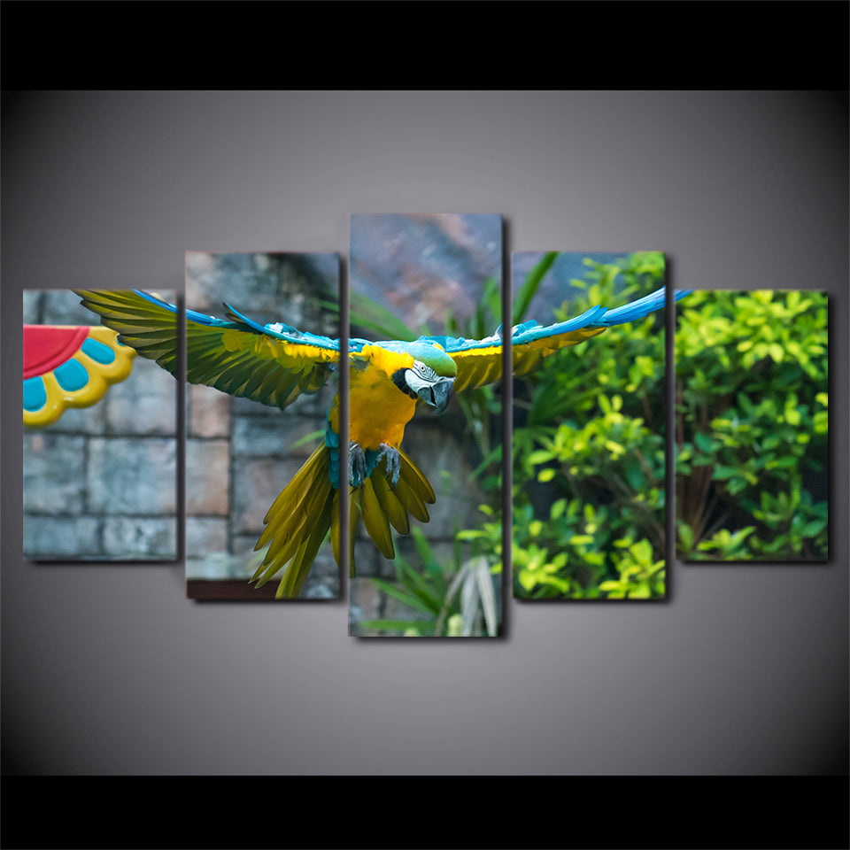 HD Printed 5 Piece Canvas Art Parrot Pet Painting Colorful Feather Bird Wall Pictures for Living Room Free Shipping CU-1753B
